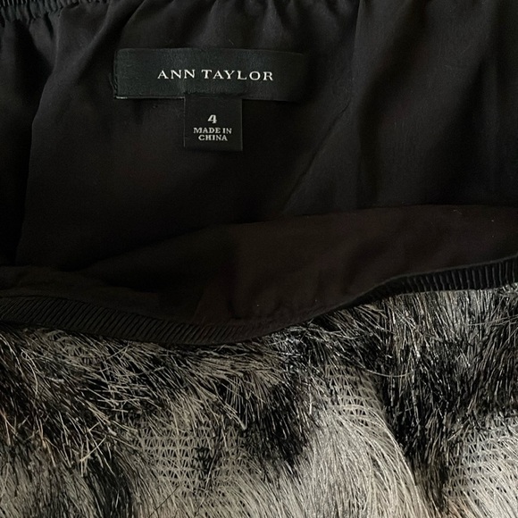 Ann Taylor Ombré Feathered Fringe Skirt Sz 4 - Picture 10 of 13